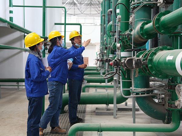 1592267275889802.jpeg IMG_0079.JPG