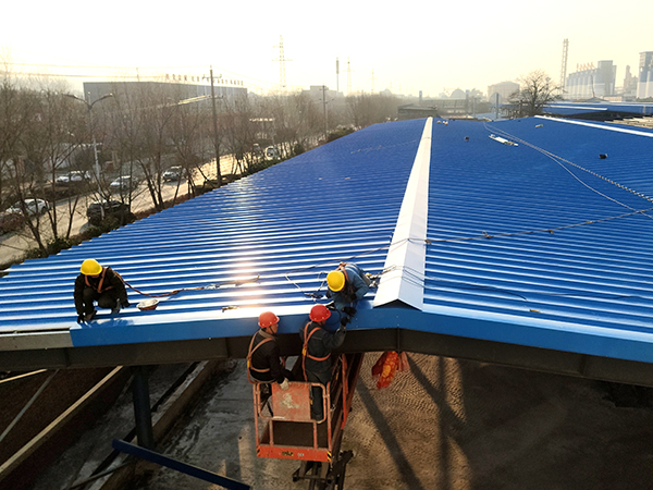 1645748484963611.jpeg 5.jpg