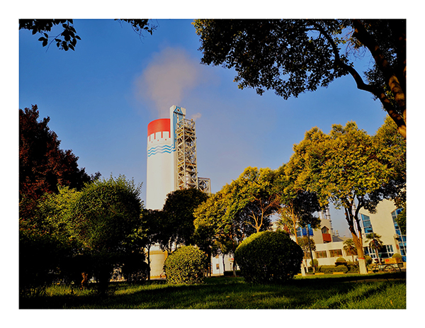 1654150026628956.jpeg IMG_20220602_081358.jpg