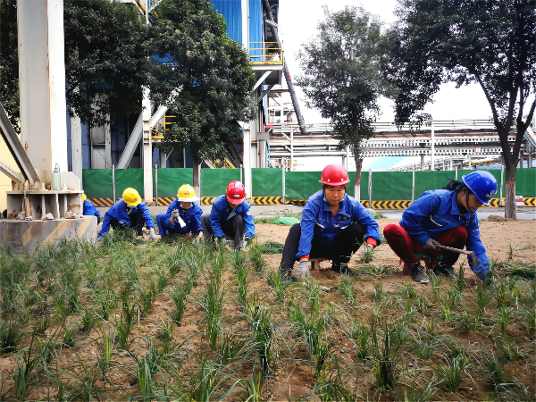 1664345674509263.png 03f977510d2e66bc234985a593b831a(1).png