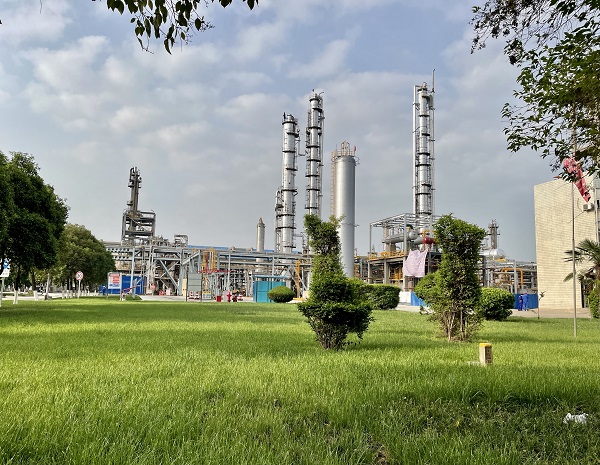 1693549106860775.jpeg 666.jpg