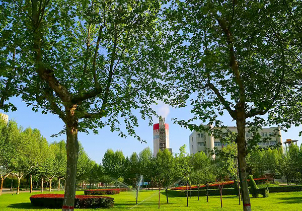 1733107490299614.jpeg 稿件配圖2 (1).jpg