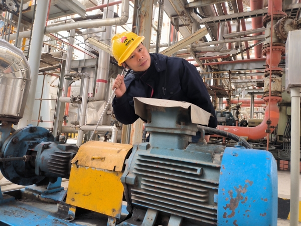 1734406653214372.jpeg 2.jpg