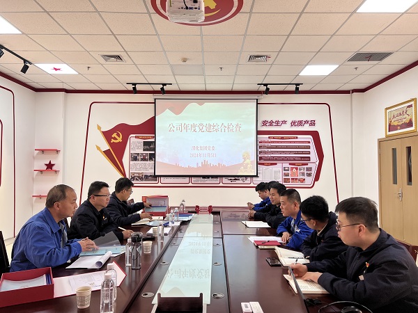 2024年11月5日，支部參加公司年度黨建檢查.jpg