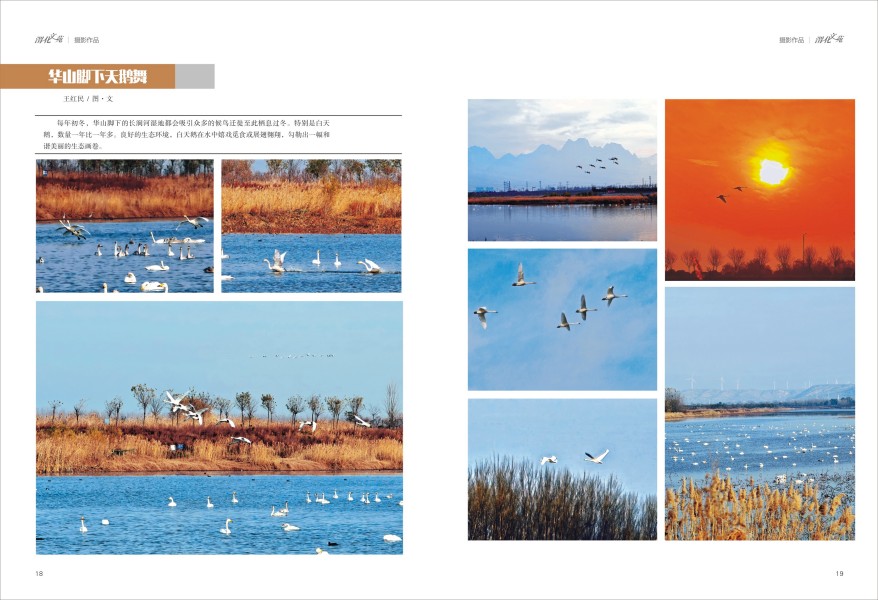 1736910442995693.jpeg 10.jpg