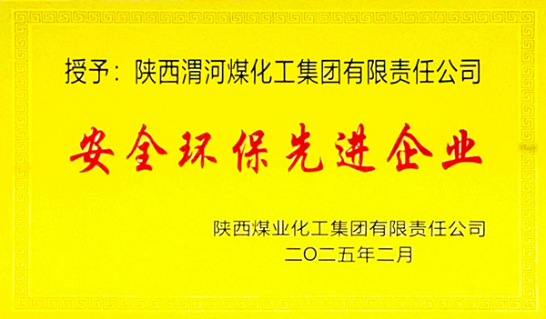 安全環(huán)保先進企業(yè)獎牌.JPG