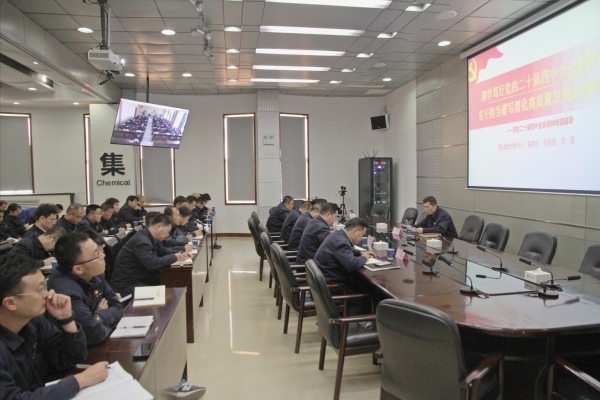 集團公司黨委書記、董事長、總經(jīng)理趙強專題宣講黨的二十屆四中全會精神