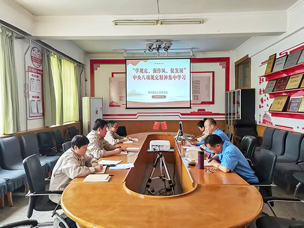 4月11日，渭河塑業(yè)公司全體黨員集中學習中央八項規(guī)定精神.jpg