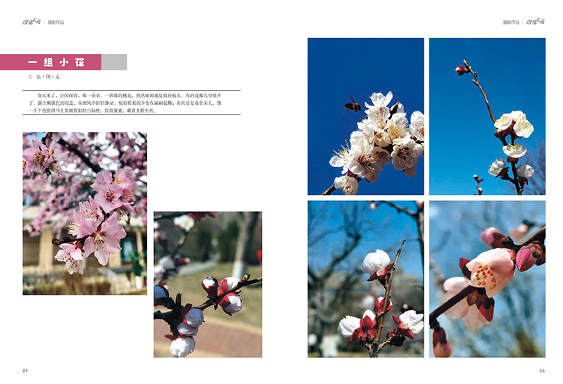 291748482720103299.jpg 13.jpg