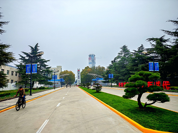 IMG_20251029_204457  600.jpg