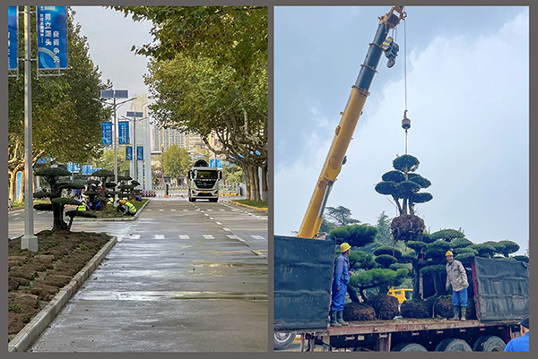 6bf8166cbaeb5ad01ba04ae43a4f837b  副圖  00   600.jpg